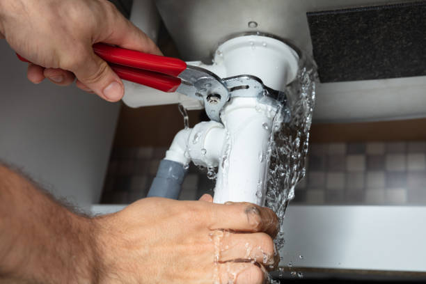  Lake Butler, FL Water damage restoration Pros