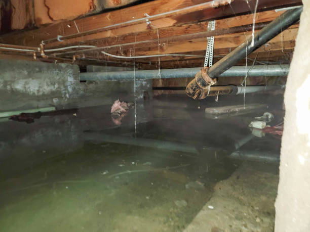 Best Water damage restoration near me  in Lake Butler, FL