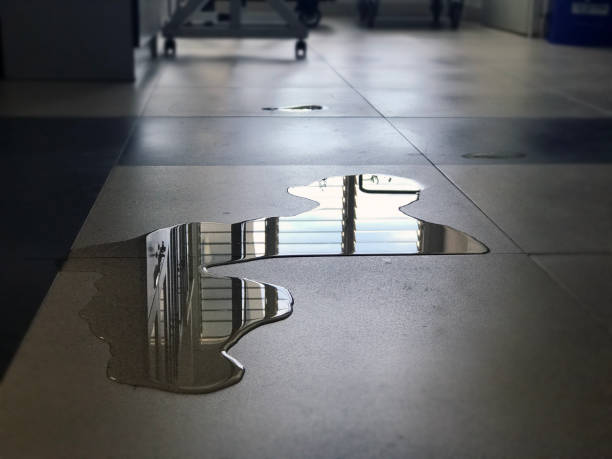Best Commercial water damage restoration  in Lake Butler, FL