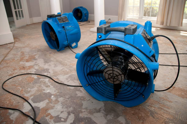 Water damage restoration mold remediation in Lake Butler, FL