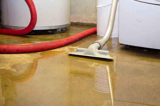 Best 24-hour water damage restoration  in Lake Butler, FL
