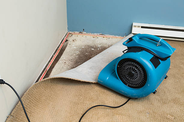 Best Flood restoration services  in Lake Butler, FL