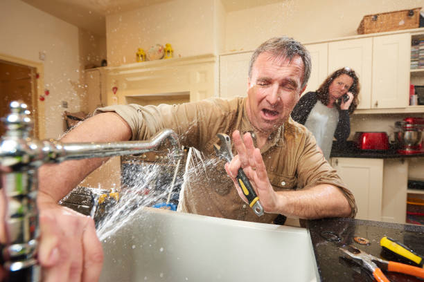 Best Water damage restoration mold remediation  in Lake Butler, FL